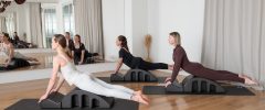 Spine Corrector